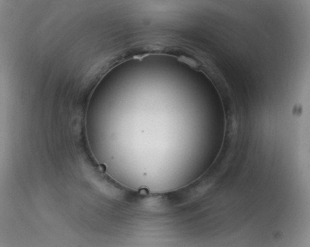 X0000114210505200910091327