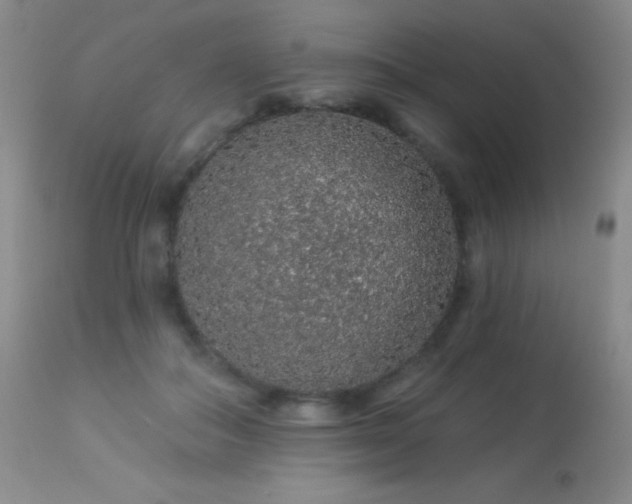 X0000114210506200910091327