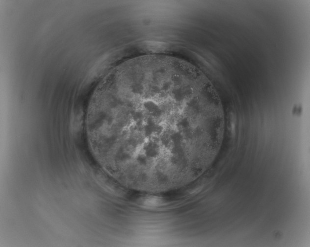 X0000114210507200910091327