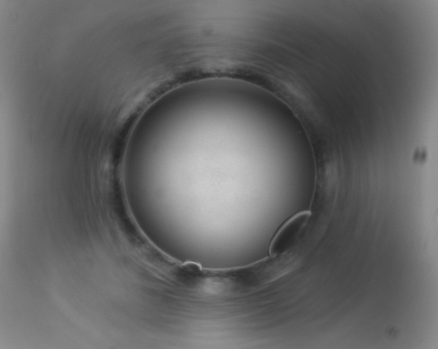 X0000114210508200910091327