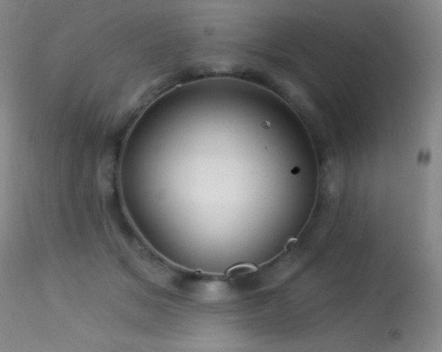 X0000114210509200910091327