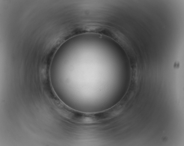 X0000114210510200910091327