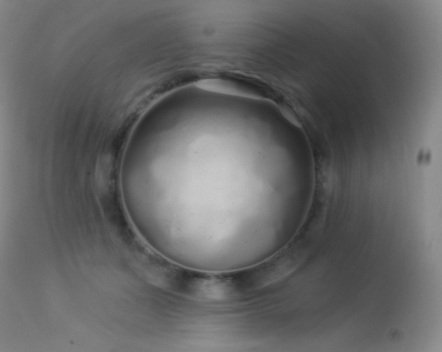 X0000114210511200910091327