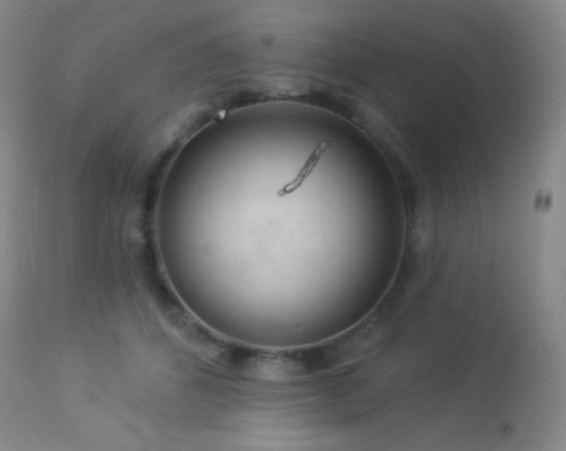 X0000114210512200910091327