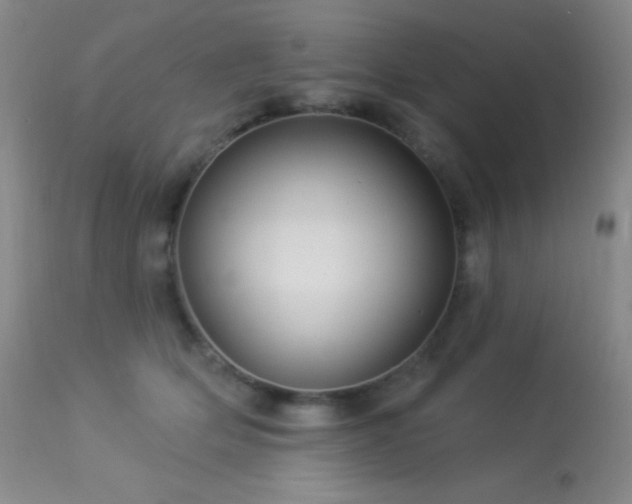 X0000114210514200910091327