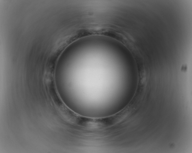 X0000114210515200910091327