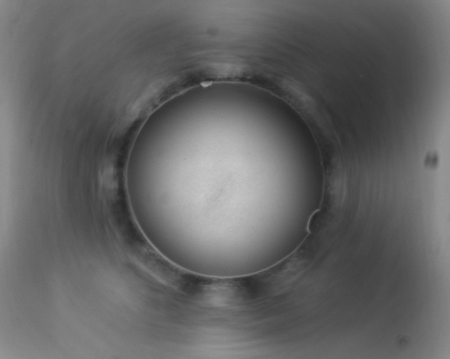 X0000114210516200910091327