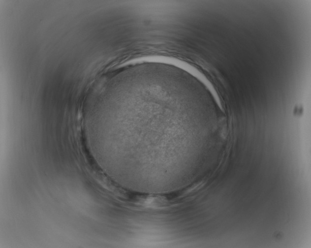 X0000114210517200910091327