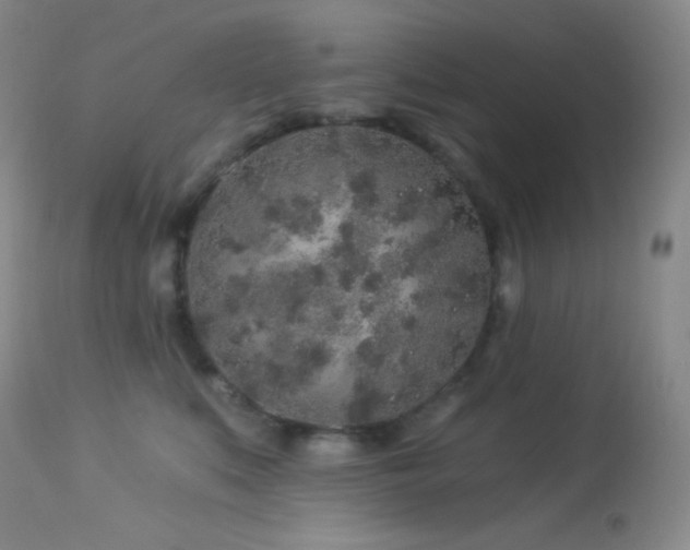 X0000114210519200910091327