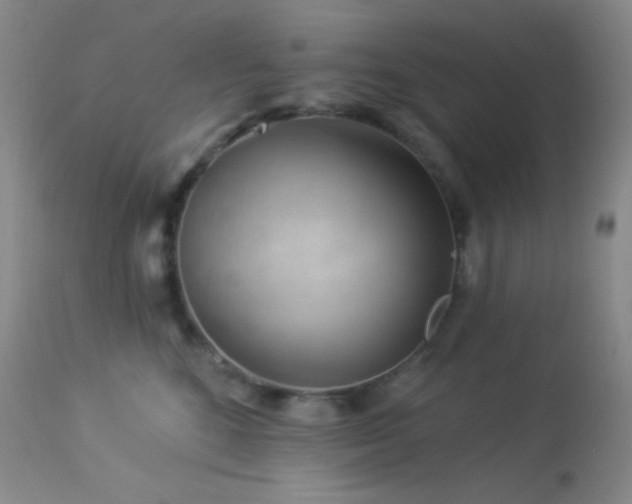 X0000114210520200910091327