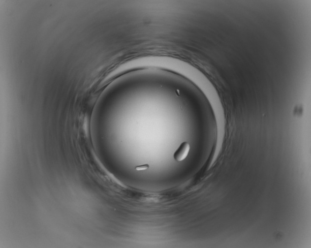 X0000114210521200910091327