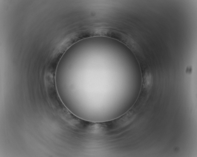 X0000114210522200910091327