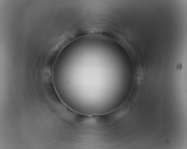X0000114210523200910091327