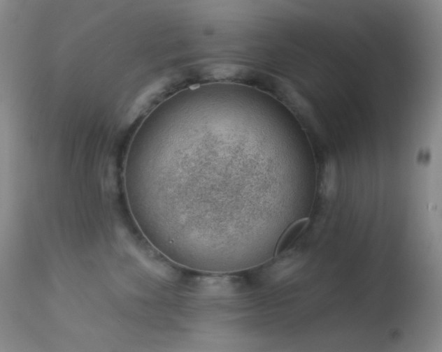 X0000114210524200910091327
