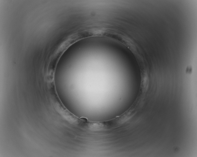 X0000114210525200910091327