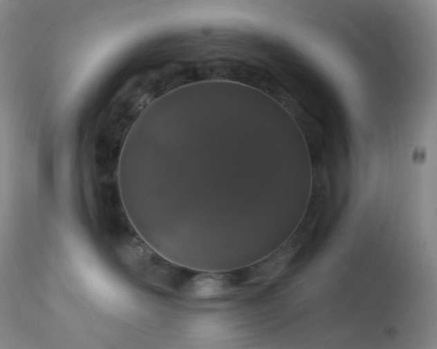 X0000114210526200910091327