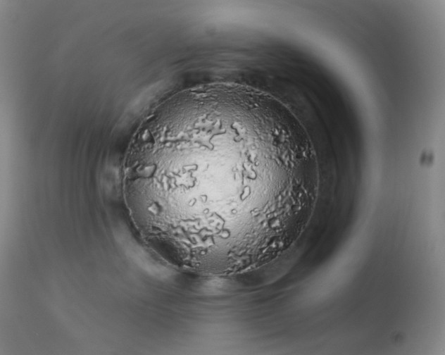 X0000114210527200910091327