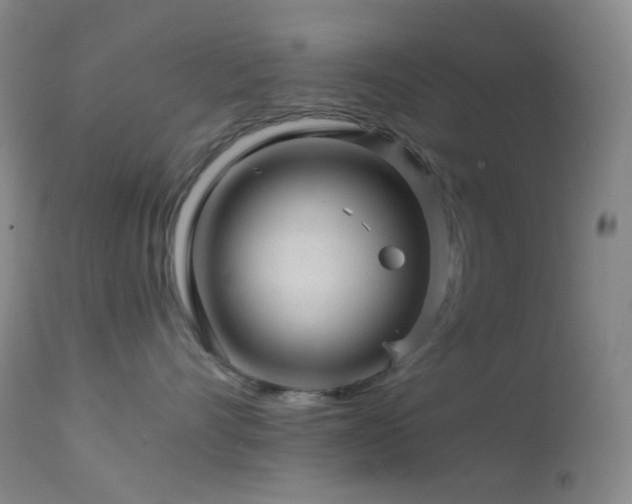 X0000114210528200910091327