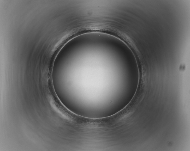 X0000114210530200910091326