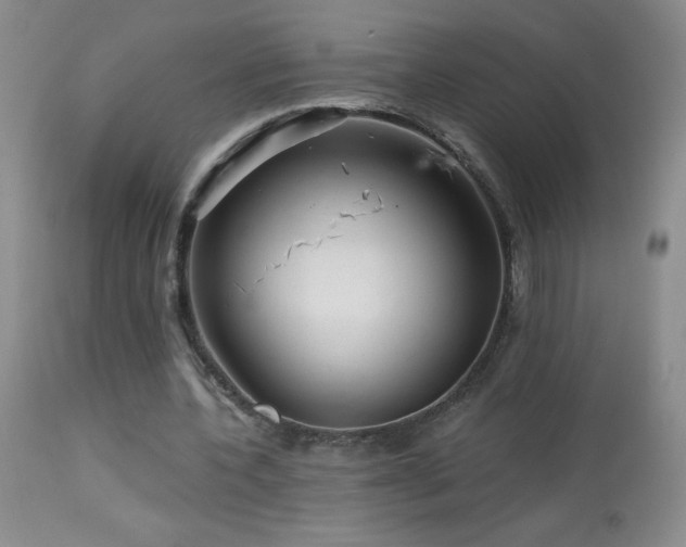 X0000114210532200910091326