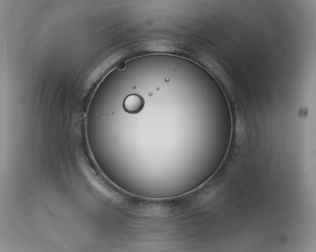 X0000114210533200910091326