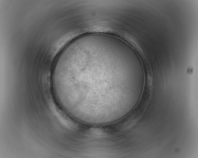X0000114210534200910091326