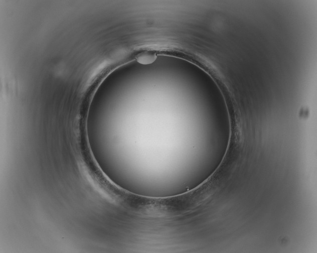 X0000114210535200910091326