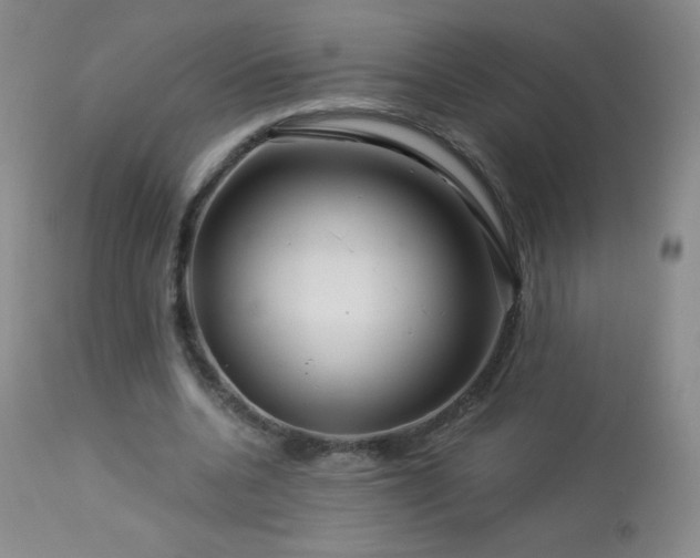 X0000114210536200910091326