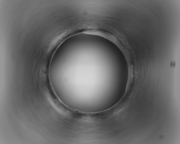 X0000114210538200910091326
