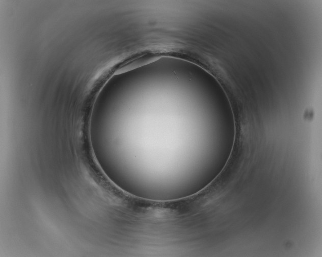 X0000114210539200910091326