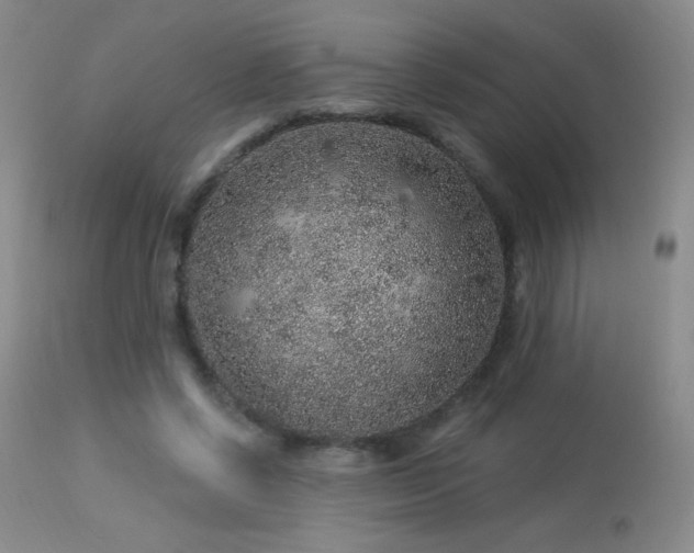 X0000114210542200910091326