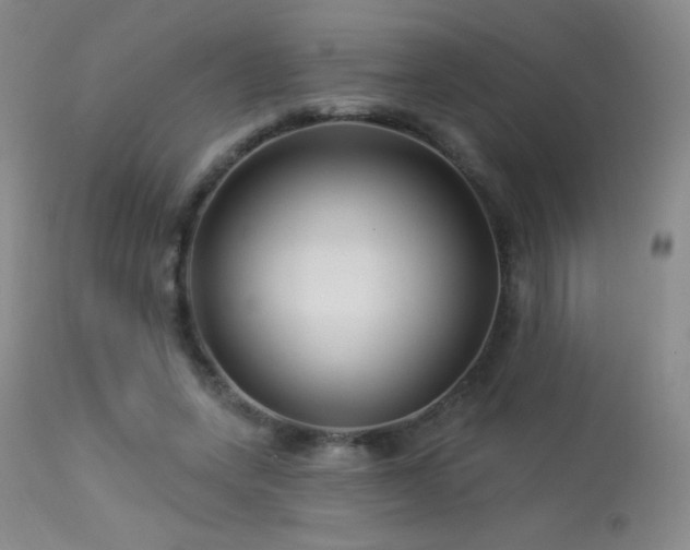 X0000114210543200910091326