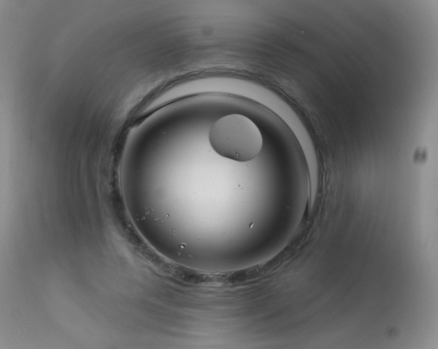 X0000114210544200910091326
