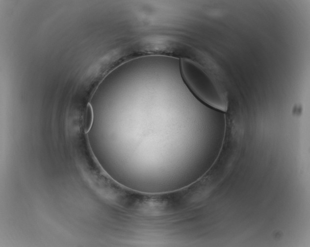X0000114210546200910091326
