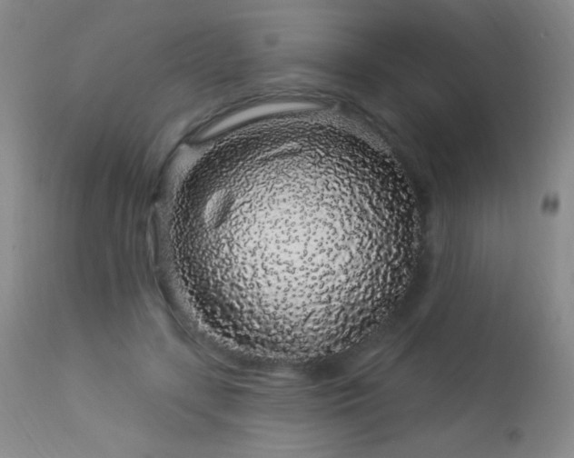 X0000114210547200910091326