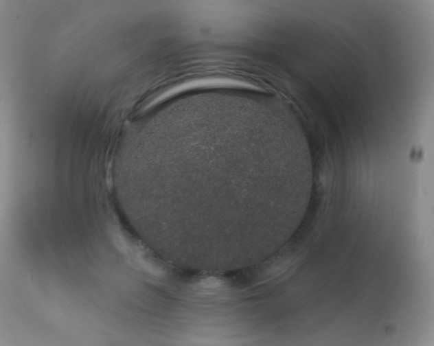 X0000114210551200910091326