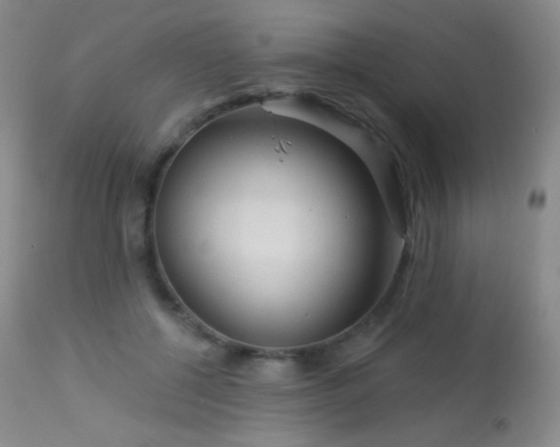 X0000114210552200910091326