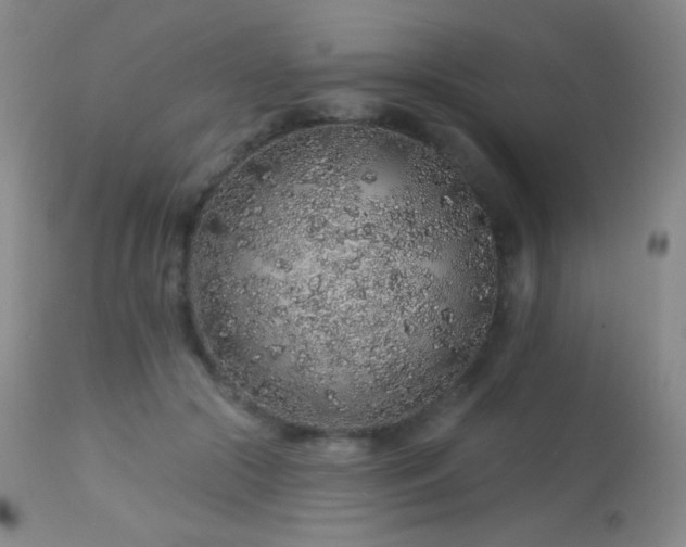 X0000114210553200910091326