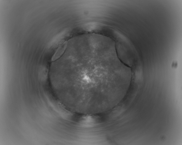 X0000114210558200910091326