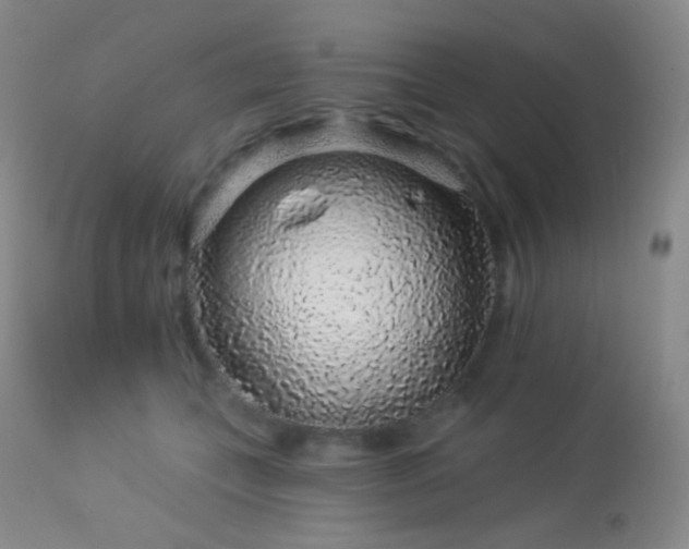 X0000114210559200910091326