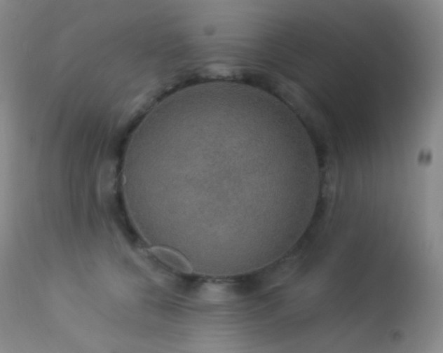 X0000114210560200910091326