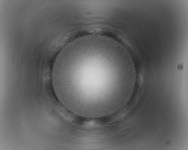 X0000114210561200910091326