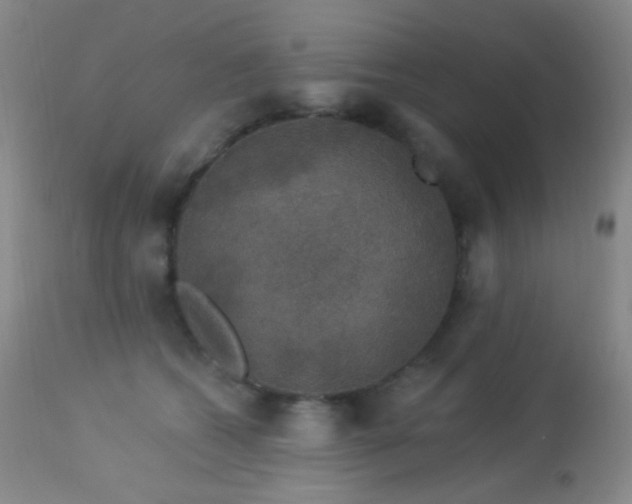 X0000114210562200910091326