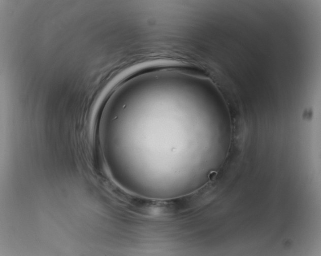 X0000114210563200910091326