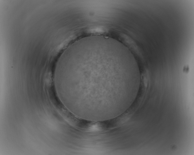 X0000114210564200910091326