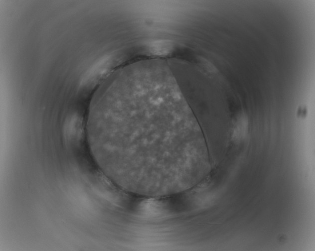 X0000114210568200910091326