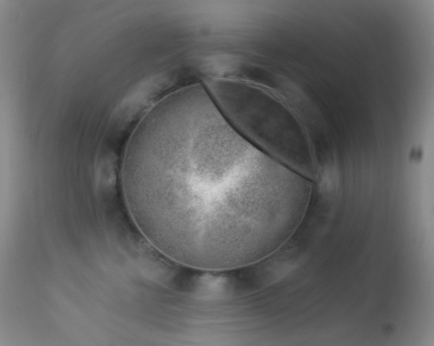 X0000114210570200910091327