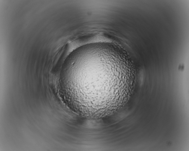 X0000114210571200910091327