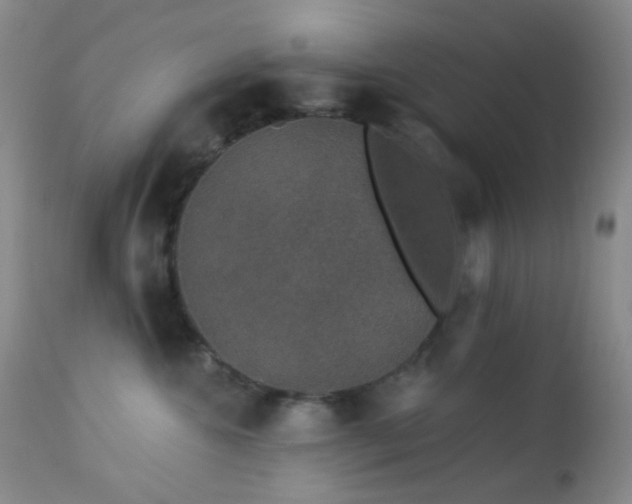 X0000114210572200910091327