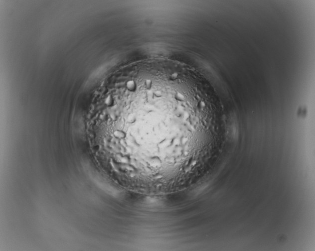 X0000114210573200910091327